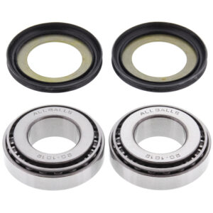 Fork Neck Bearing & Seal Kit