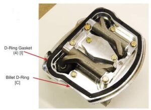 Xzotic Panhead D-Ring [C]